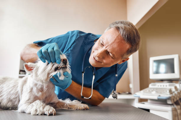 Best Emergency Wisdom Teeth Removal in Winchester, NV